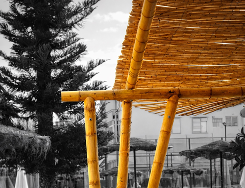 Taller 04